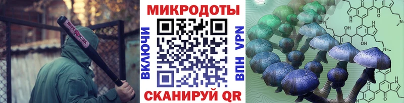 даркнет сайт Стрежевой Псилоцибиновые грибы ЛСД